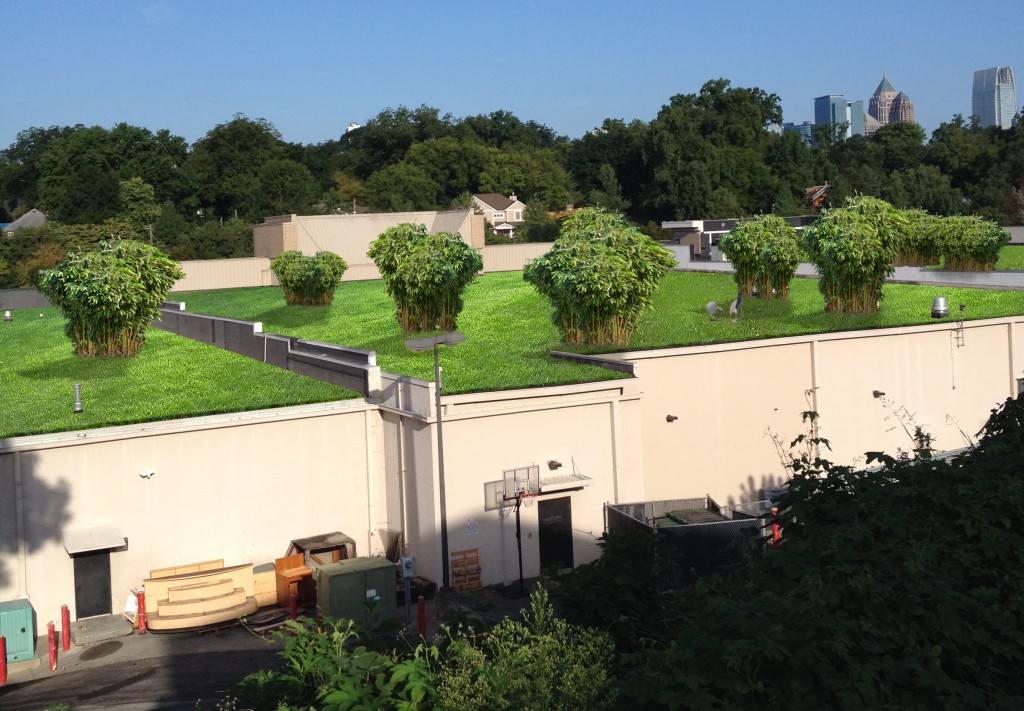 Home_Depot_Roofs_greened
